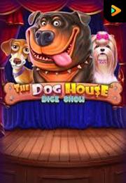 Bocoran RTP The Dog House Dice Show di BENTO188 Generator RTP SLOT GACOR 4D Live Dengan Pola Akurat Dan Lengkap